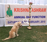 Krishna Ashram